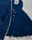 Fancy Chiffon Maxi 3pc Punjabi Set - Elegant and Trendy Design